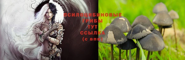 spice Бородино