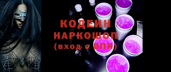spice Бородино
