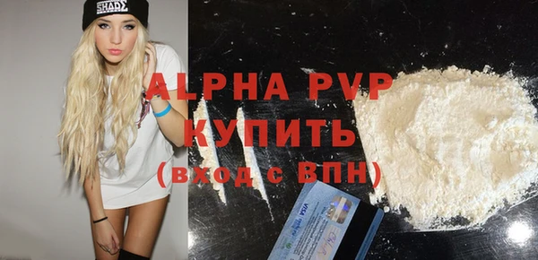 spice Бородино