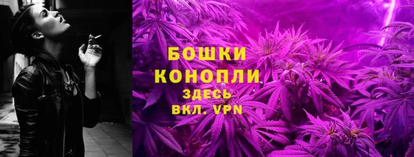 spice Бородино