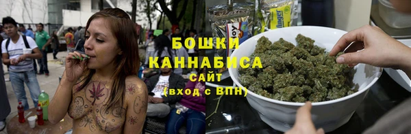 spice Бородино