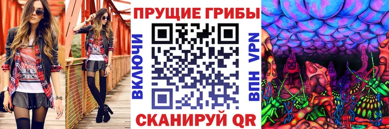 Псилоцибиновые грибы Psilocybine cubensis  Улан-Удэ 